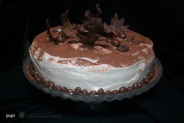 Tort Ness