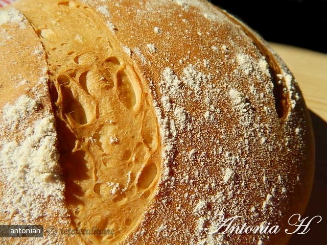 Batch Bread