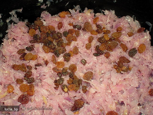 Garnitura Rece de Varza