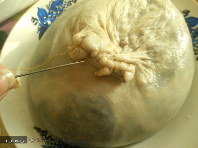 Gusa de Curcan Umpluta