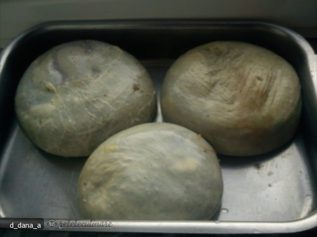 Gusa de Curcan Umpluta
