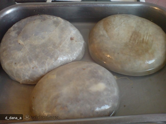 Gusa de Curcan Umpluta