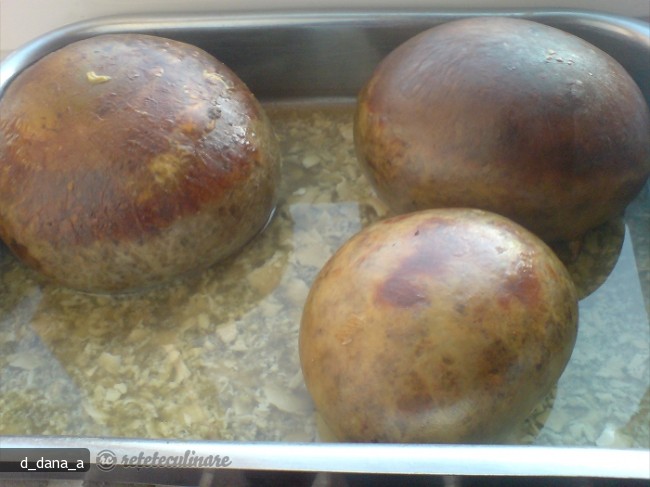 Gusa de Curcan Umpluta