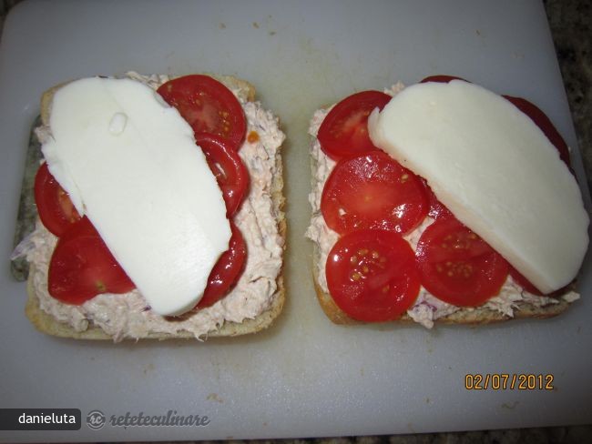 Bruschette de Ton cu Mozzarella