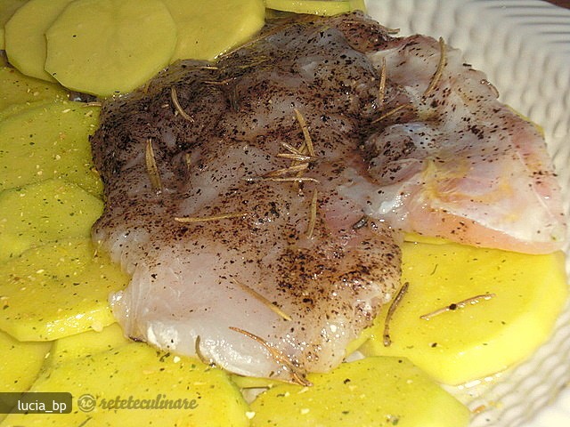 Pangasius in Plapumioara