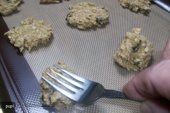 Oatmeal Raisin Cookies (biscuiti cu Fulgi de Ovaz - de Post)