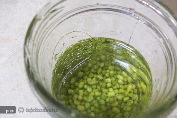 Mung Beans Sprout (Fasole Mung Incoltita sau Germeni de Fasole)