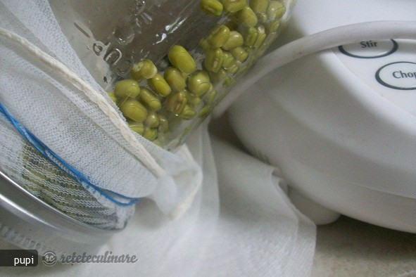 Mung Beans Sprout (Fasole Mung Incoltita sau Germeni de Fasole)