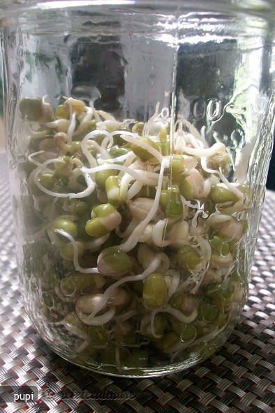 Mung Beans Sprout (Fasole Mung Incoltita sau Germeni de Fasole)