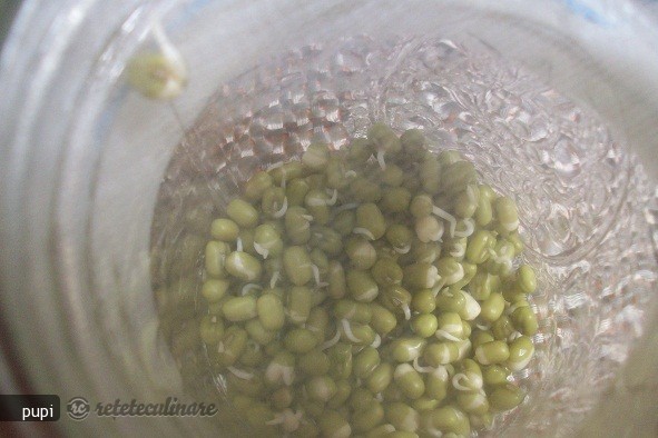 Mung Beans Sprout (Fasole Mung Incoltita sau Germeni de Fasole)