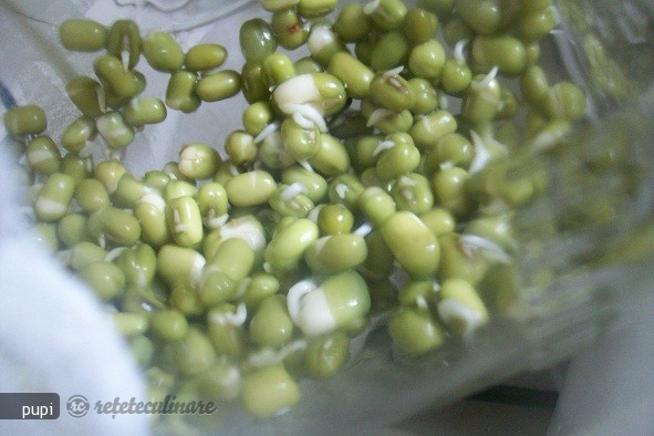 Mung Beans Sprout (Fasole Mung Incoltita sau Germeni de Fasole)