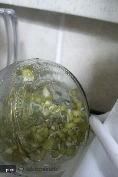 Mung Beans Sprout (Fasole Mung Incoltita sau Germeni de Fasole)