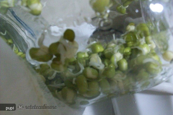 Mung Beans Sprout (Fasole Mung Incoltita sau Germeni de Fasole)