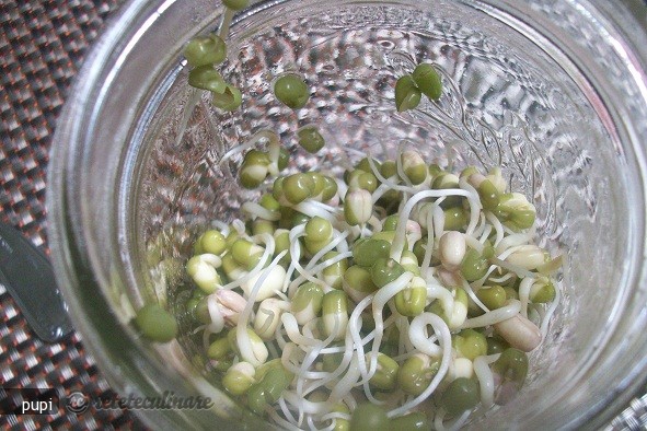 Mung Beans Sprout (Fasole Mung Incoltita sau Germeni de Fasole)