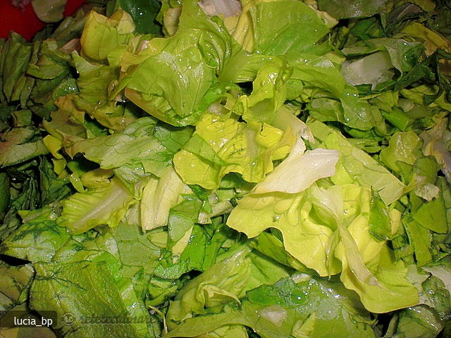 Salata Simpla de Salata Verde