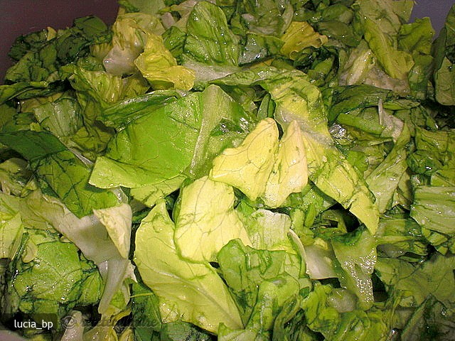 Salata Simpla de Salata Verde
