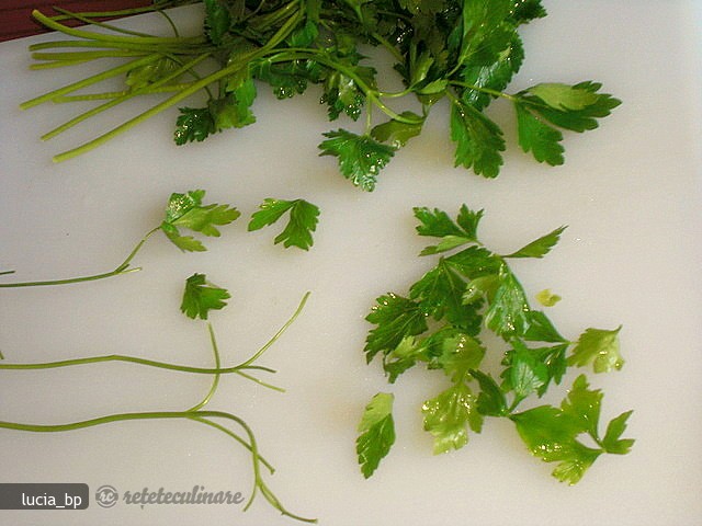 Cum Tocam Marunt Patrunjelul, Coriandru si Tarhonul Verde