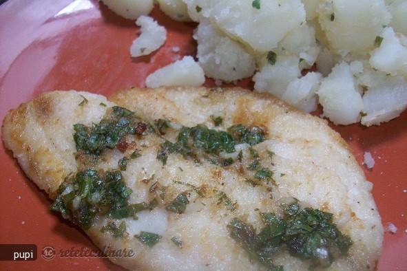 Tilapia la Tigaie