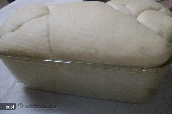 Paine Alba Impletita dintr-o singura bucata