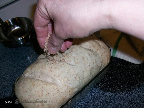Paine Alba Impletita dintr-o singura bucata