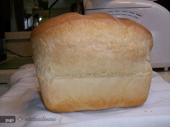 Paine Alba Impletita dintr-o singura bucata