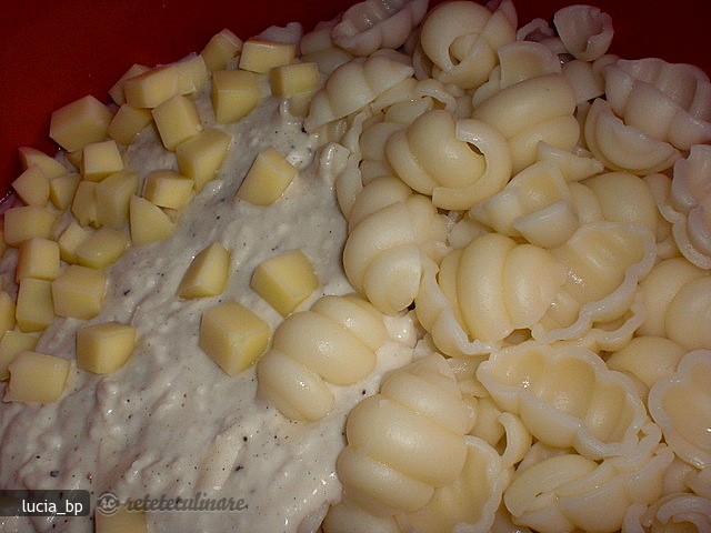 Gnocchi cu Branza, la Cuptor