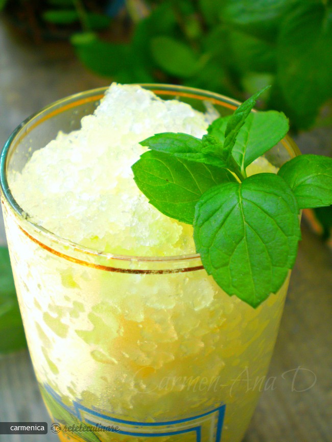 Granita cu Lamaie