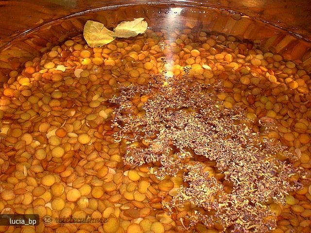 Gratin de Linte