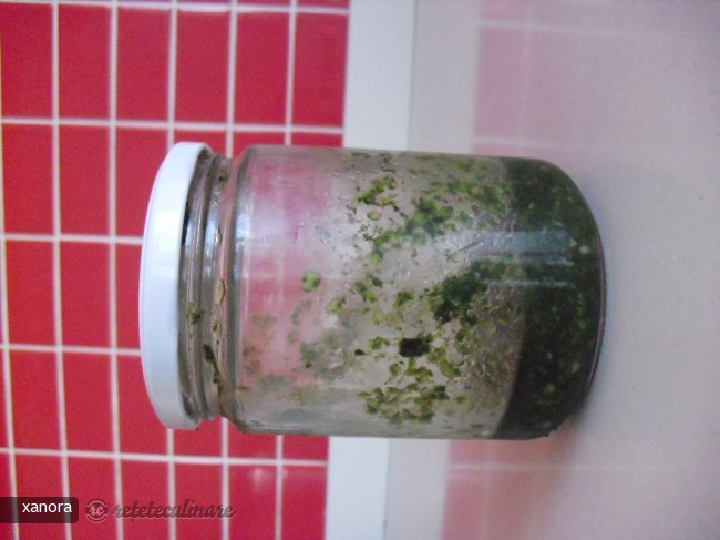 Sos Verde/ Picadillo Sau Salsa Verde