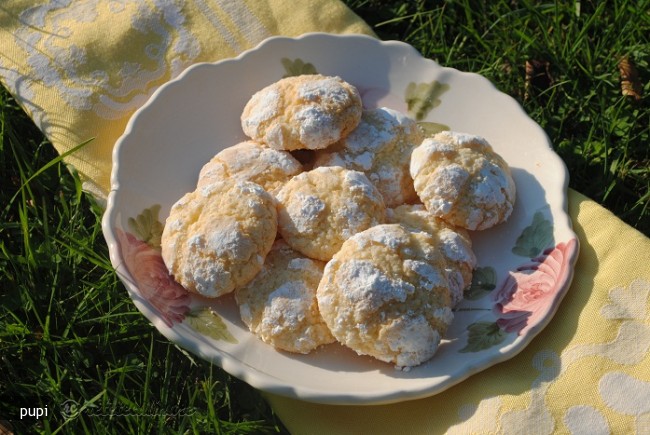 Biscuiti cu Nuca de Cocos si Lamaie