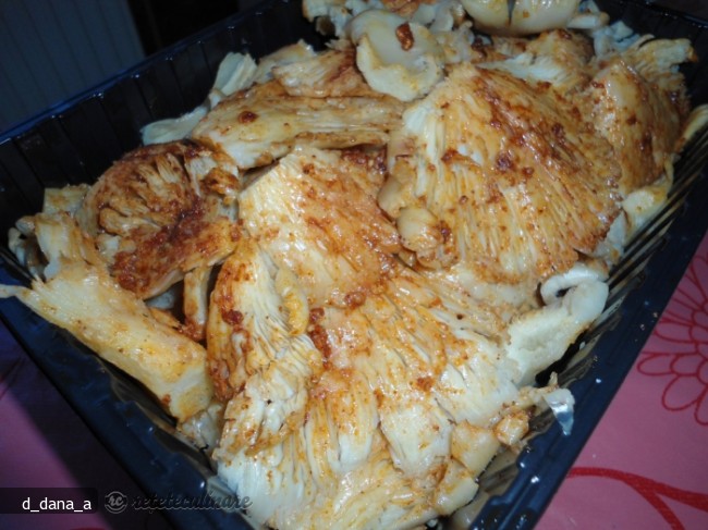 Ciuperci Pleurotus la Gratar