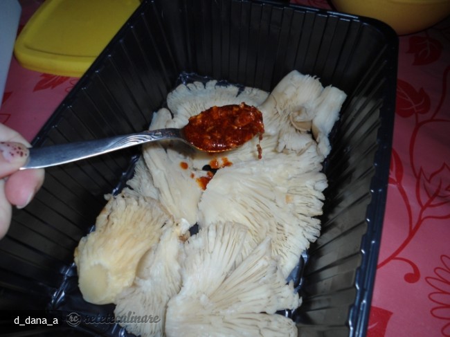 Ciuperci Pleurotus la Gratar
