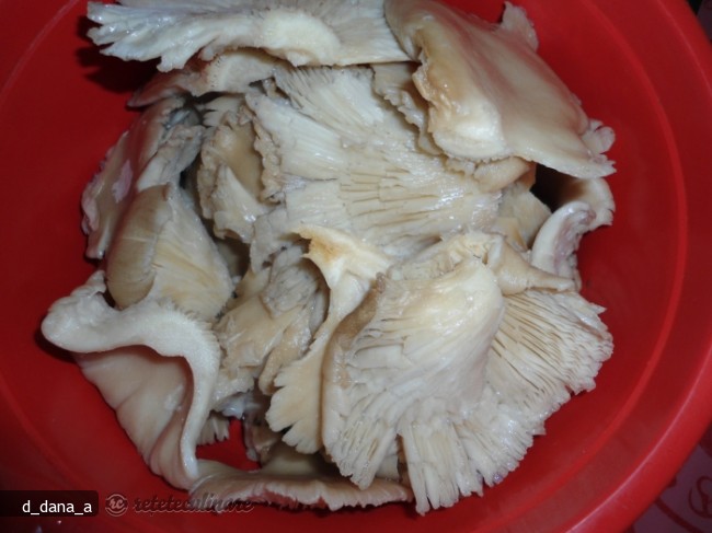 Ciuperci Pleurotus la Gratar