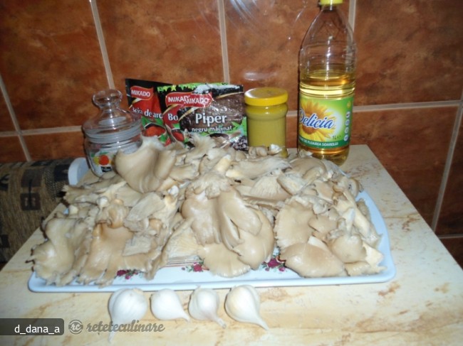 Ciuperci Pleurotus la Gratar