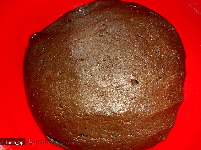 Prajitura Ruseasca cu Branza de Vaci si Cacao