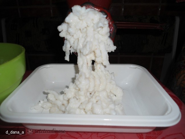Crochete de Calamar