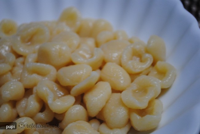 Orecchiette - Paste Fara Ou Preparate in Casa