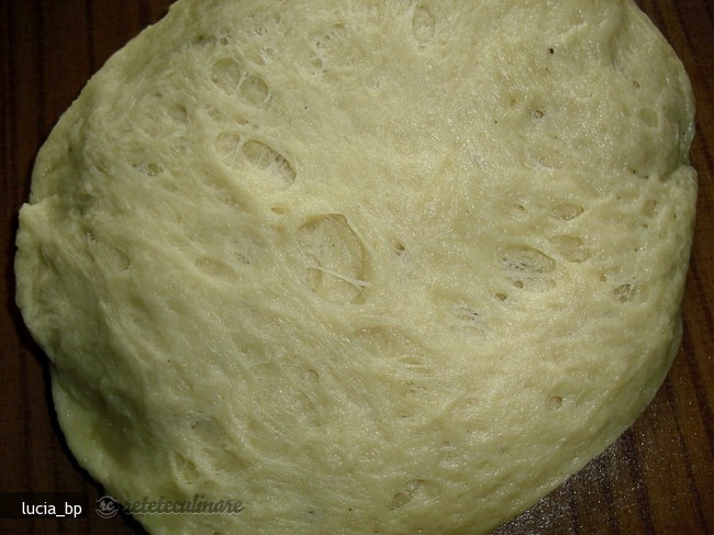 Cum Se Pregateste O Varianta de Aluat Dospit Rapid