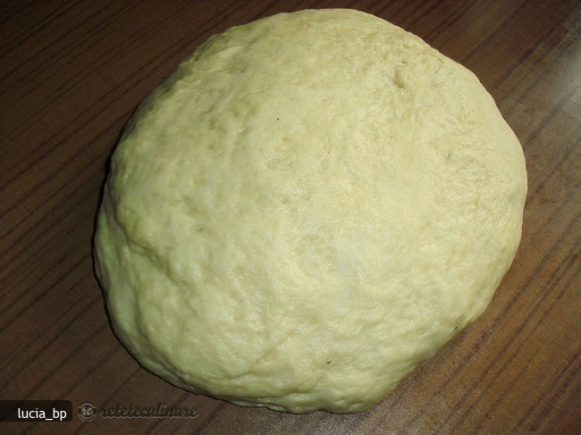 Cum Se Pregateste O Varianta de Aluat Dospit Rapid