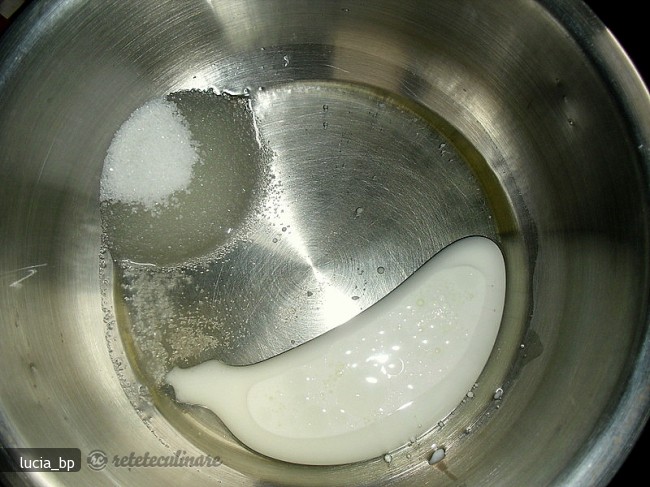 Cum Se Pregateste O Varianta de Aluat Dospit Rapid
