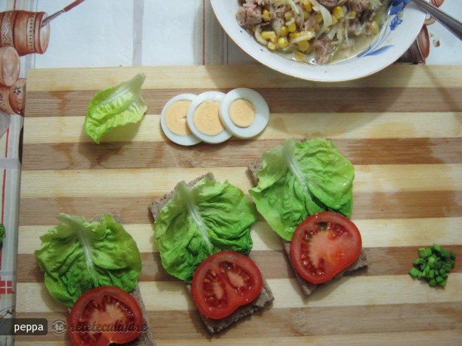 Salata de Ton pe Biscuiti de Secara Spelta