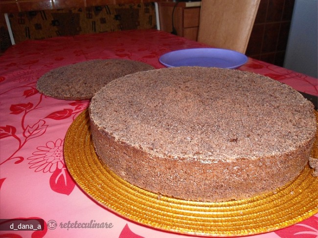 Musuroi de Cartita