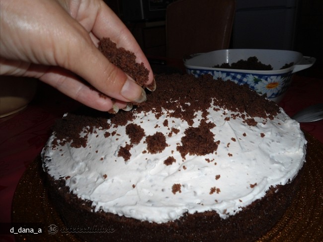 Musuroi de Cartita