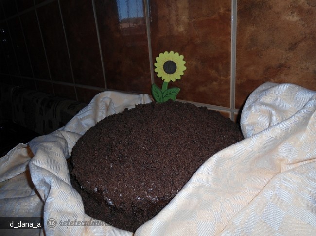 Musuroi de Cartita