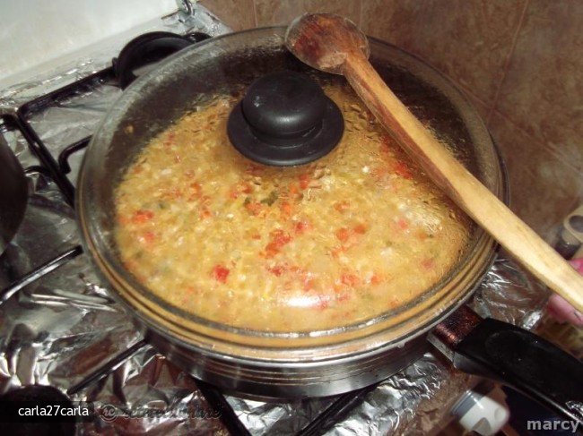 Mancare de Linte cu Carne de Pui