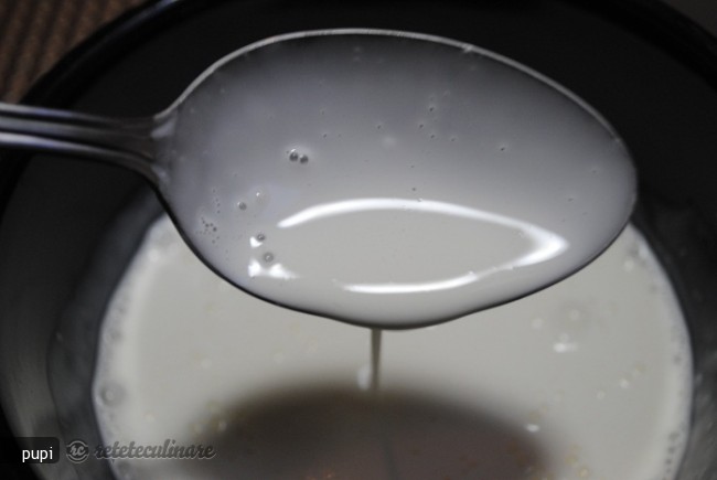 Creme Fraiche (Smantana `falsa` proaspata)