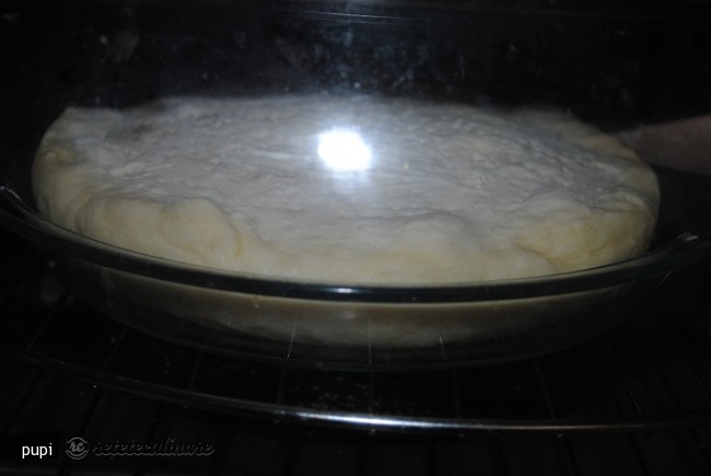 Bannock (painea Bastinasilor Canadieni)