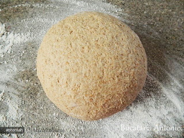 Paine cu Faina Integrala de Grau si Faina de Secara