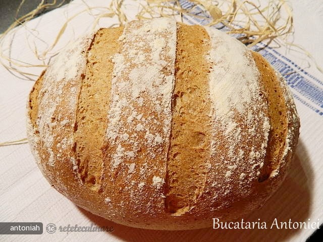 Paine cu Faina Integrala de Grau si Faina de Secara