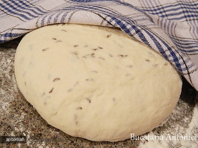 Naan